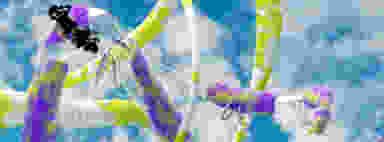 Blur Background