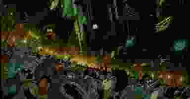 Blur Background