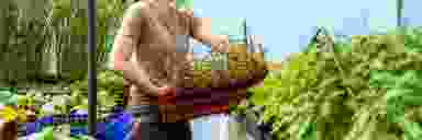 Blur Background