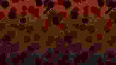 Blur Background