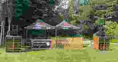 Blur Background