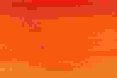 Blur Background