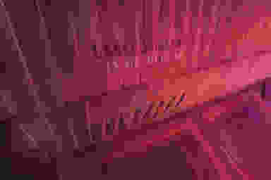 Blur Background