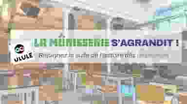 Blur Background
