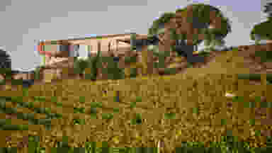 Blur Background