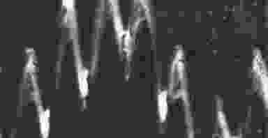 Blur Background