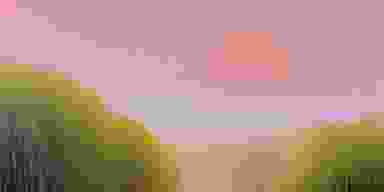 Blur Background