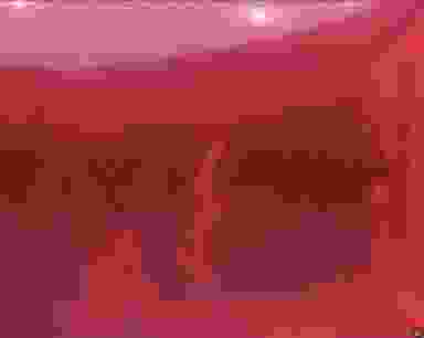Blur Background
