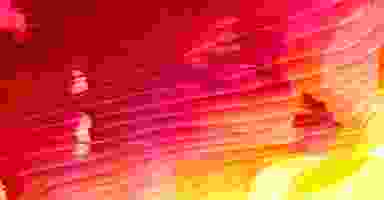 Blur Background