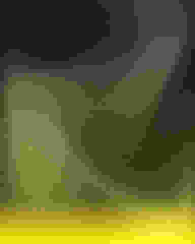 Blur Background