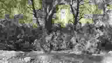 Blur Background