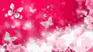 Blur Background