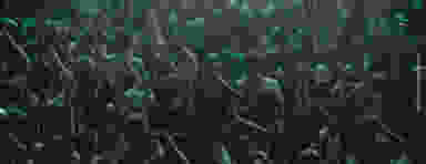 Blur Background