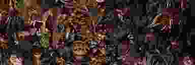 Blur Background