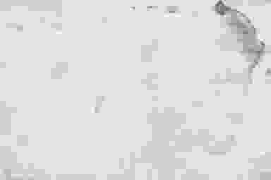Blur Background