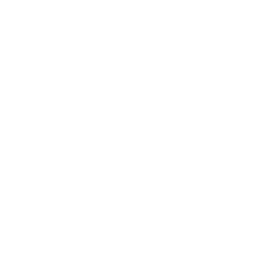 CAUSA MORTIS
