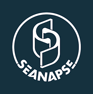 SEANAPSE