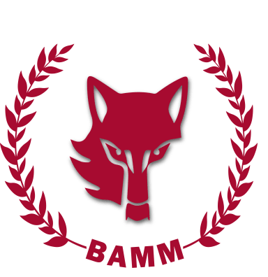 LeBAMM