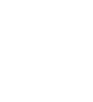 Chat Noir Paris