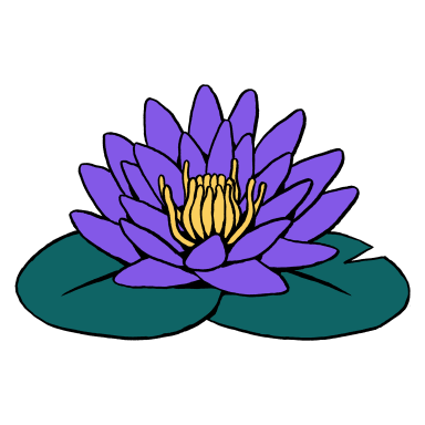 Collectif Bloom