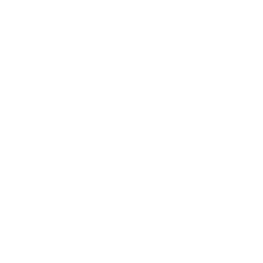 Poinçon Paris