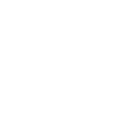 NUIT BRUNE