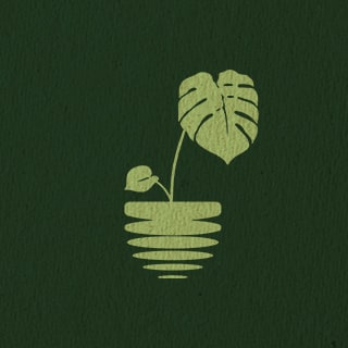 Plant Bass