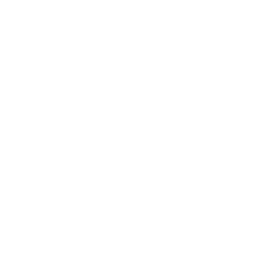RESET 