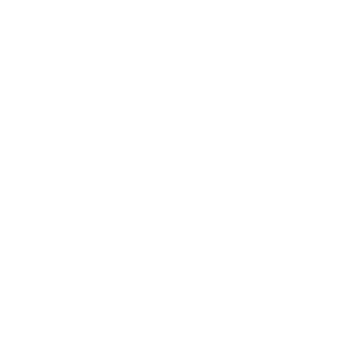THIRD CULTURE
