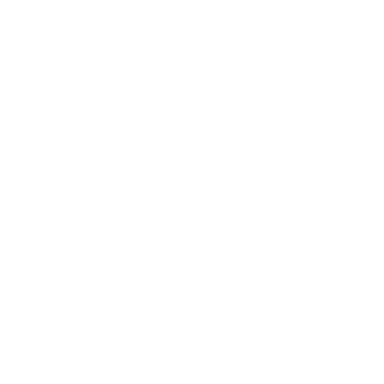Discovery Movement