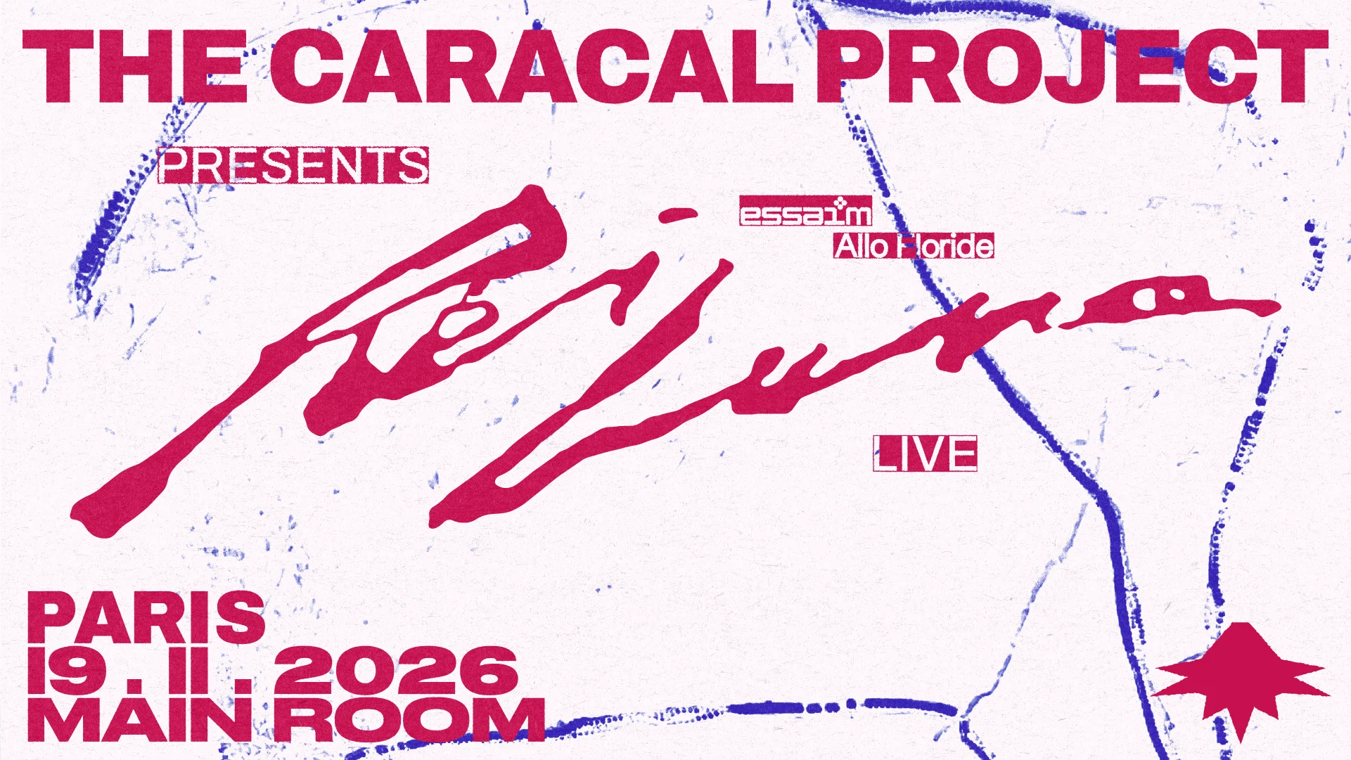 The Caracal Project — Main Room