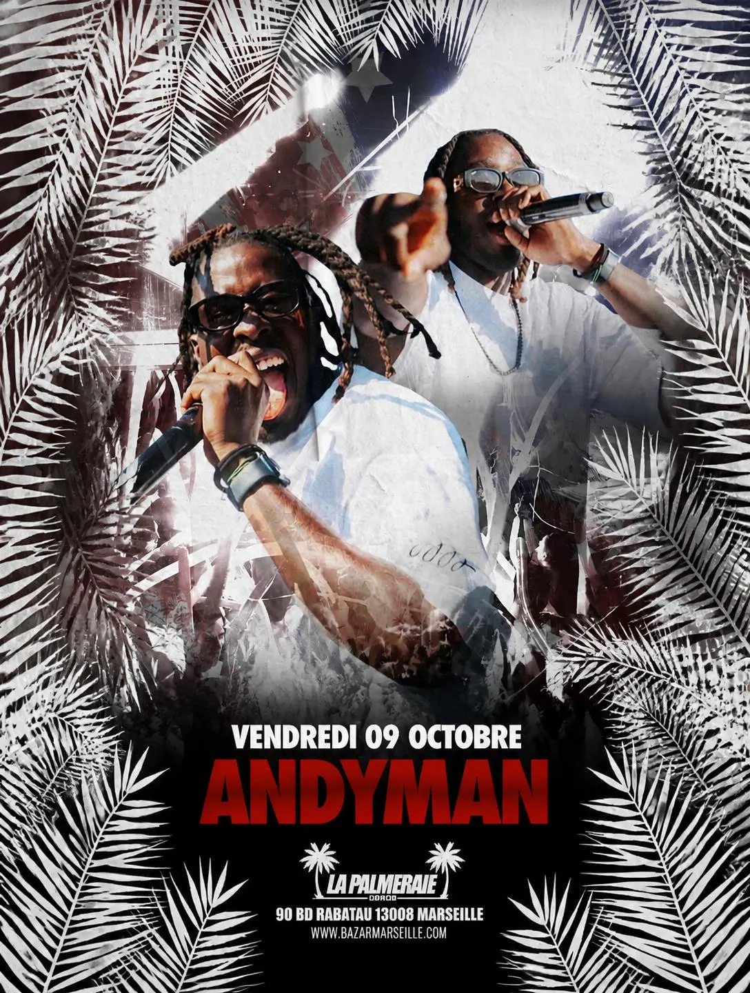 Andyman I Palmeraie