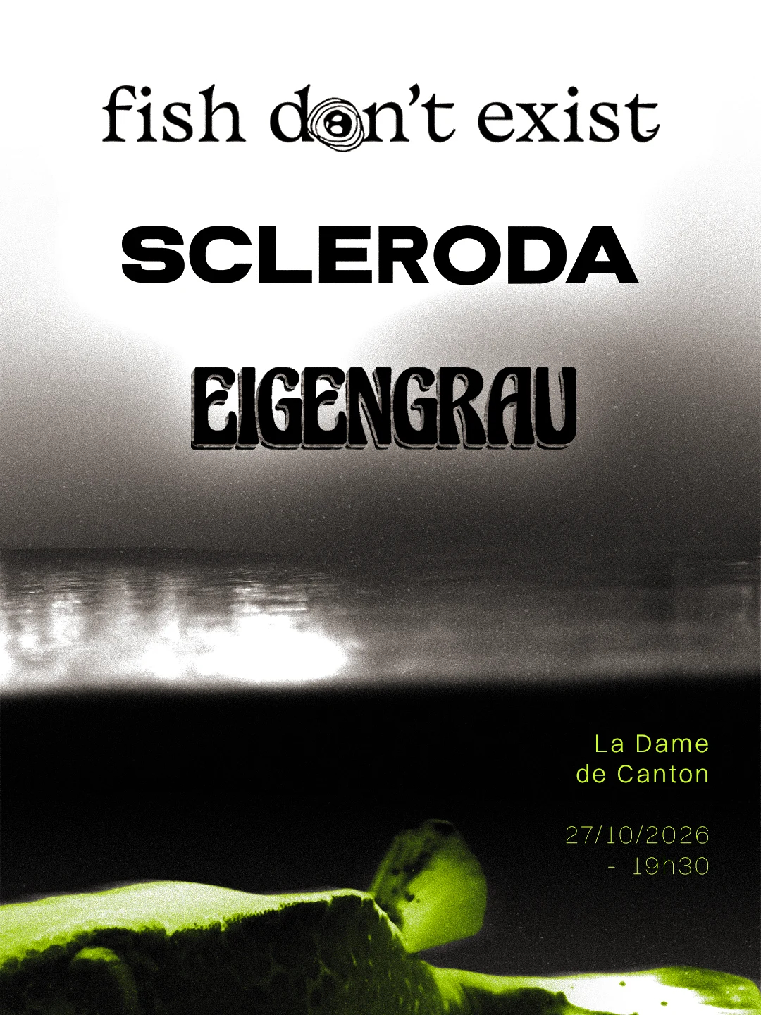 Fish Don't Exist X Scleroda X Eigengrau
