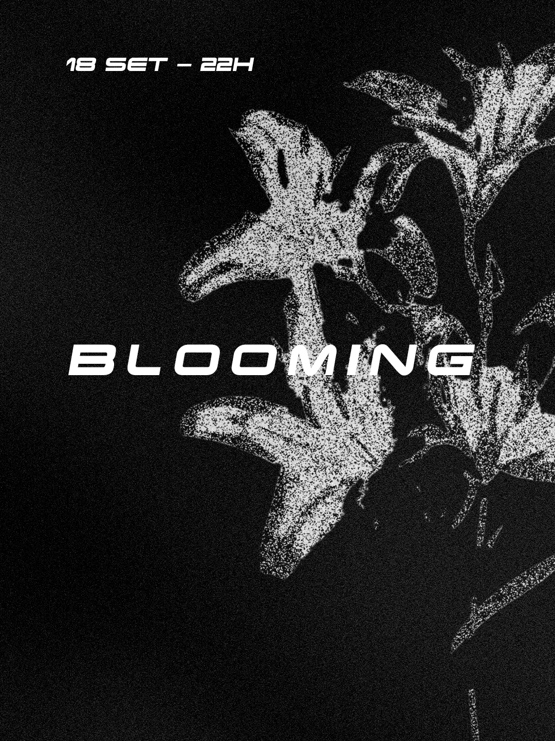 Blooming #001 | Chaouiche Bday