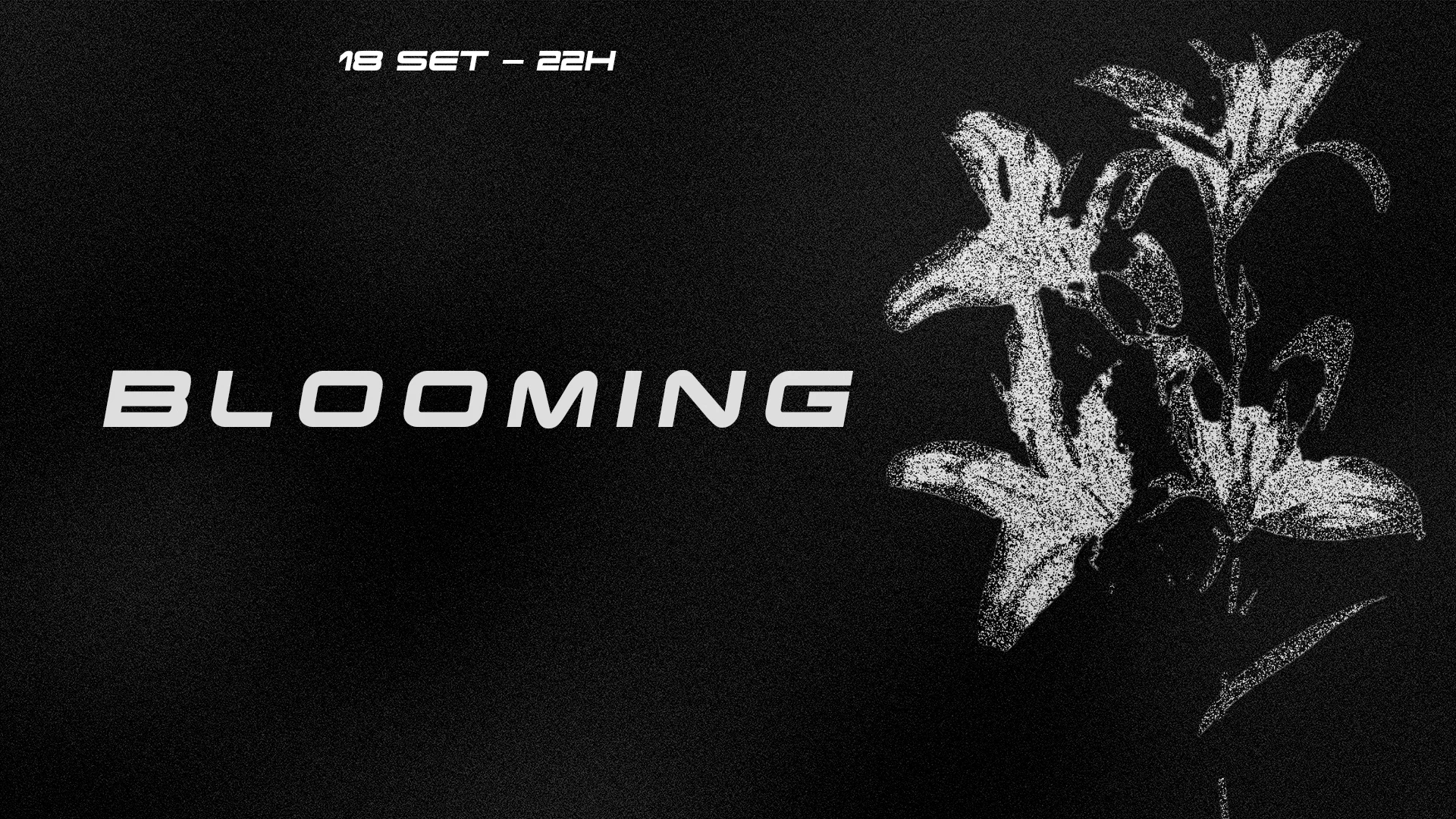 Blooming #001 | Chaouiche Bday