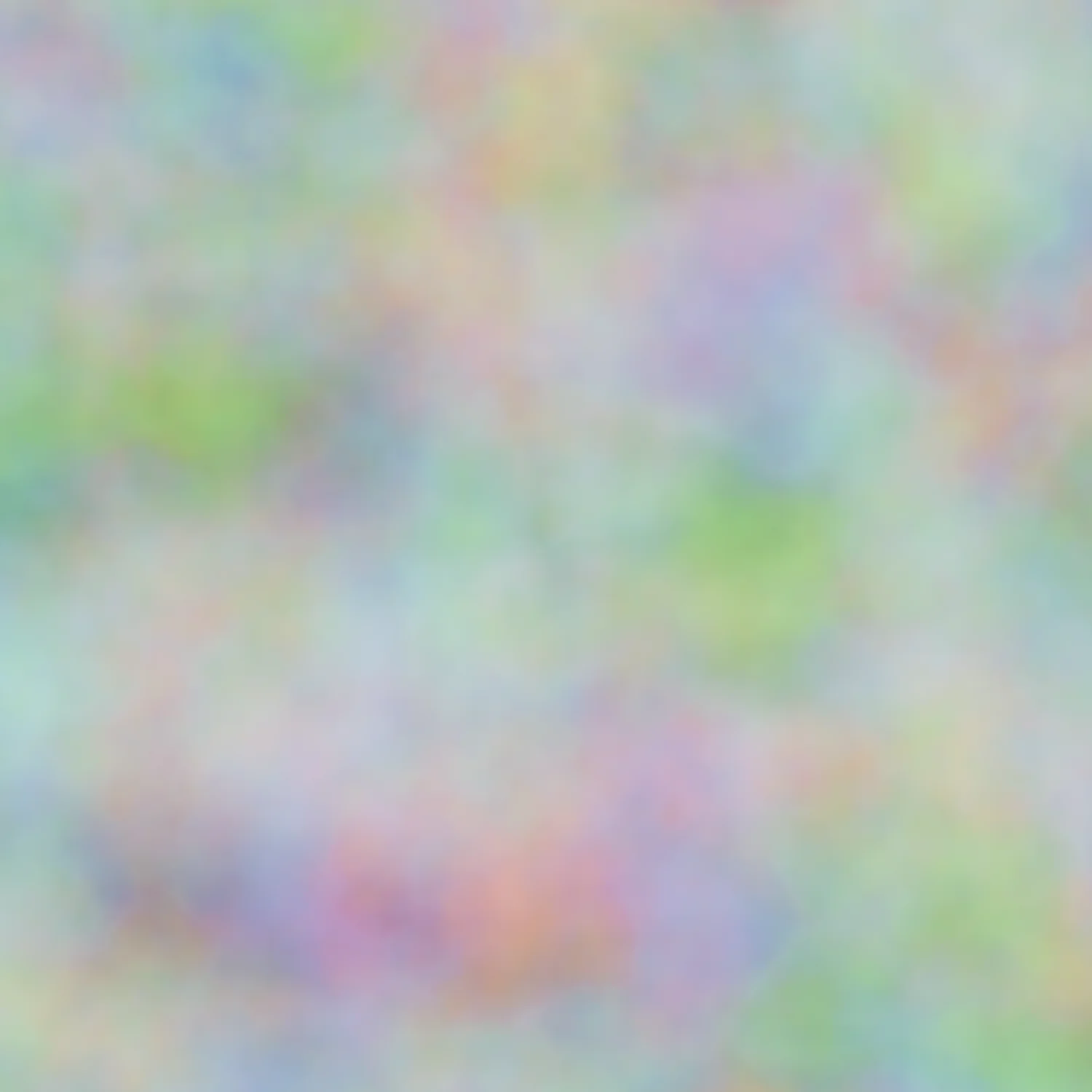 DISCOLADA HOUSE