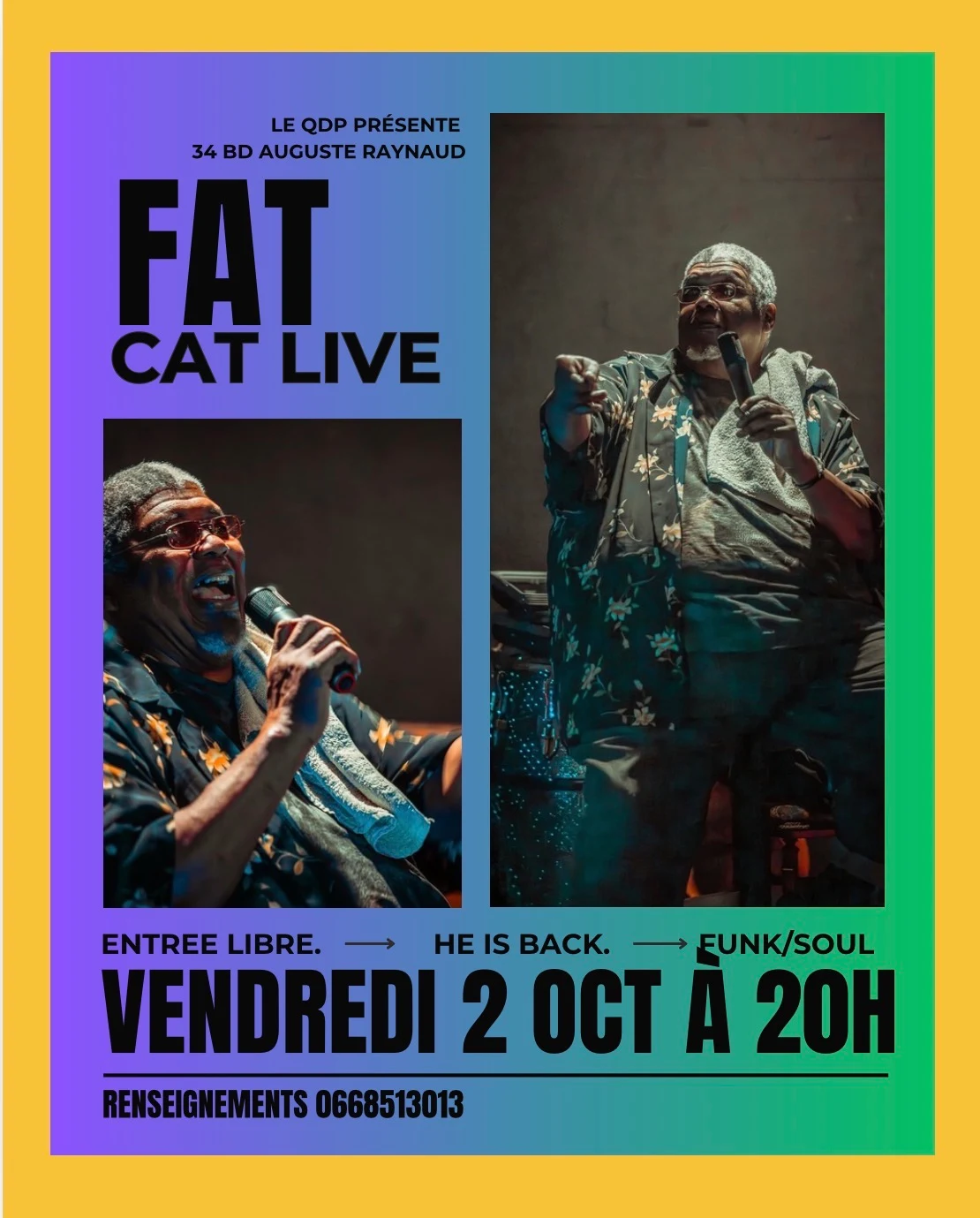 Fat Cat Live