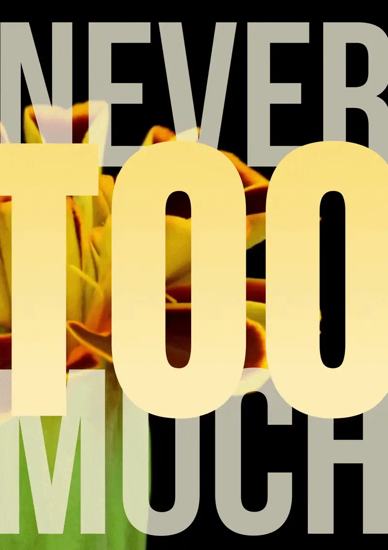 Never Too Much 001