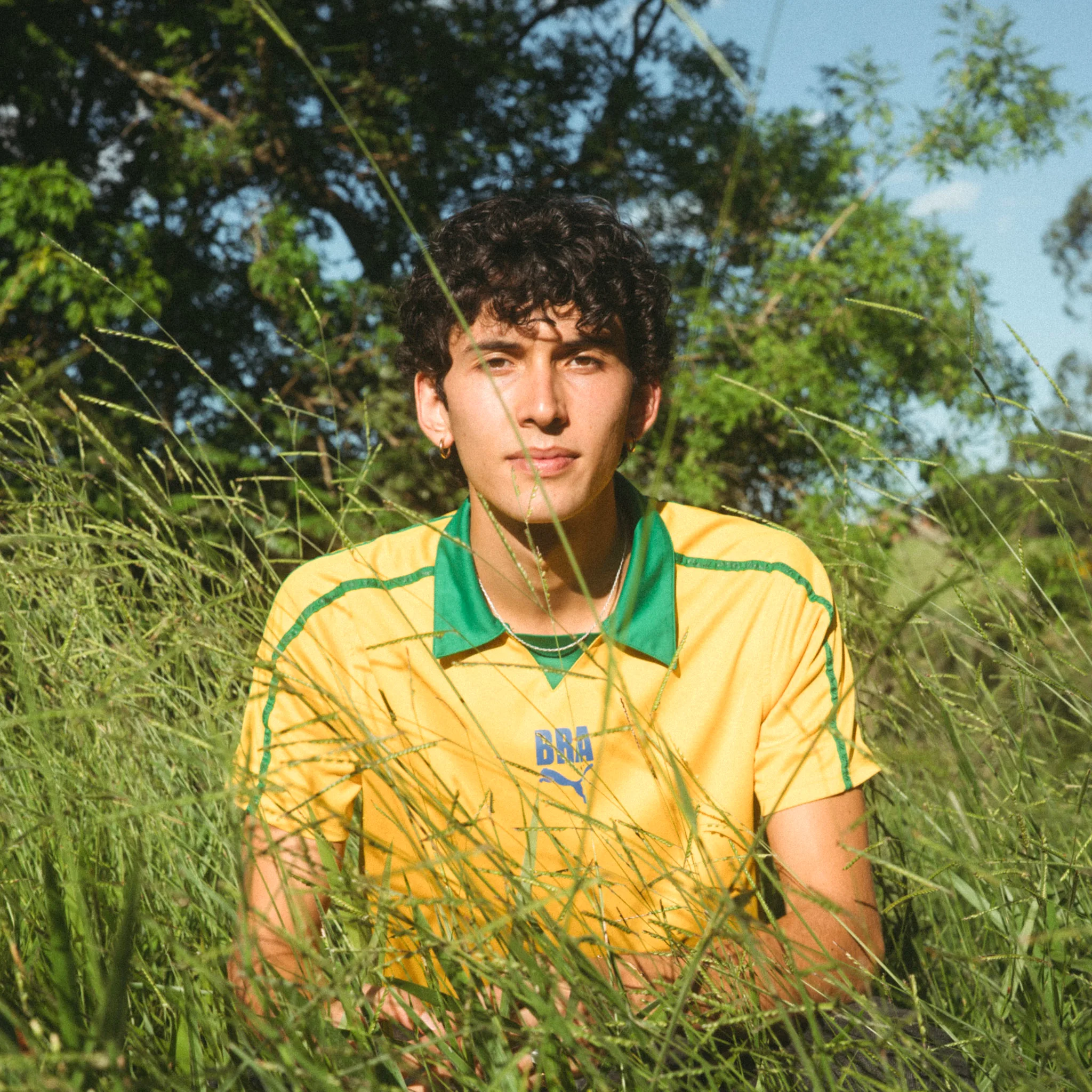 Tom Ribeira
