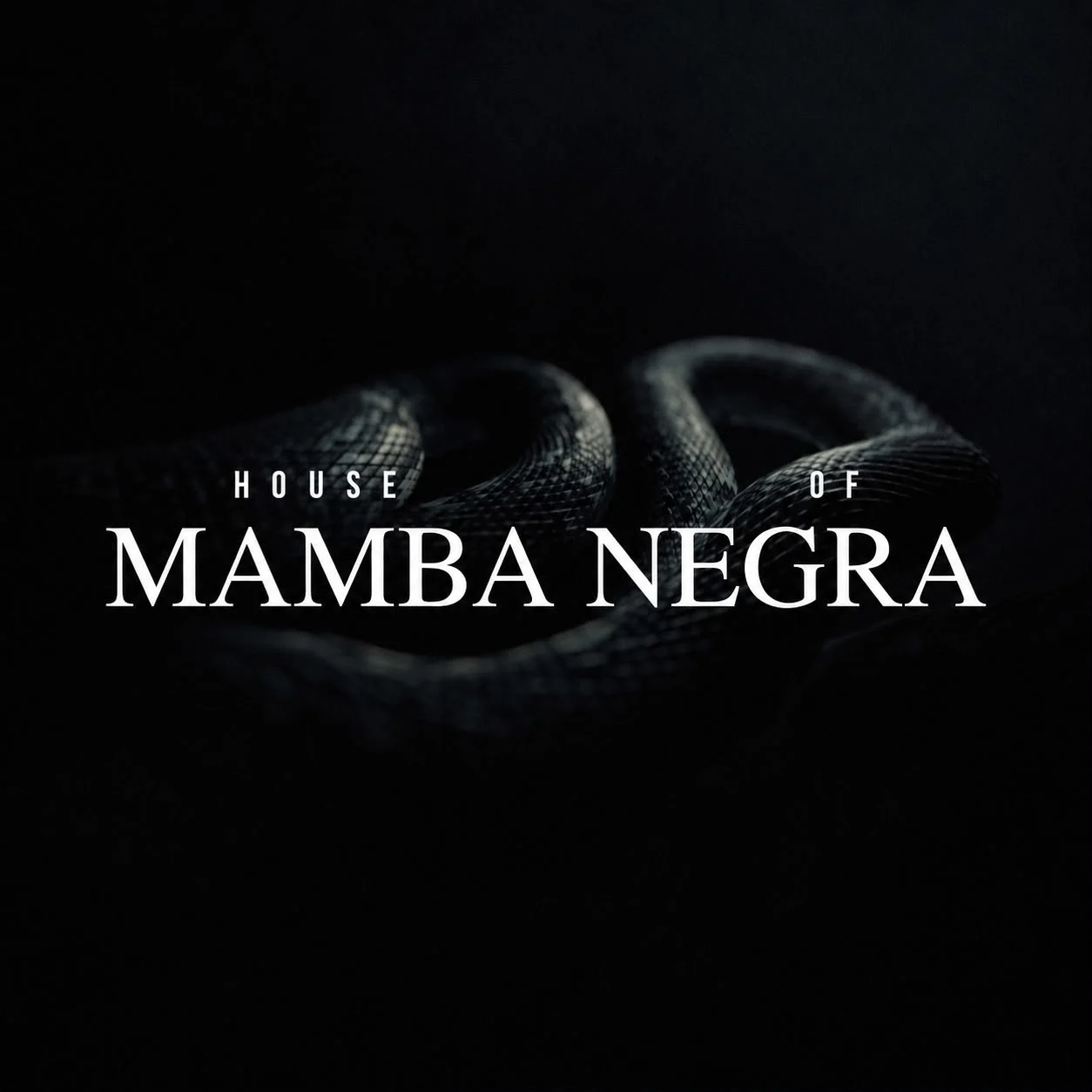 House of Mamba Negra TO