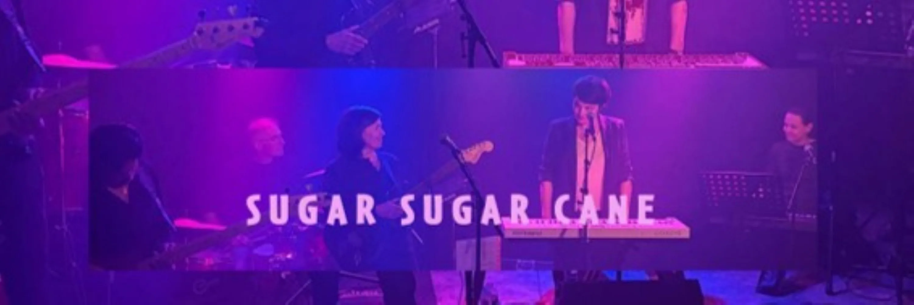 SugarSugarCane