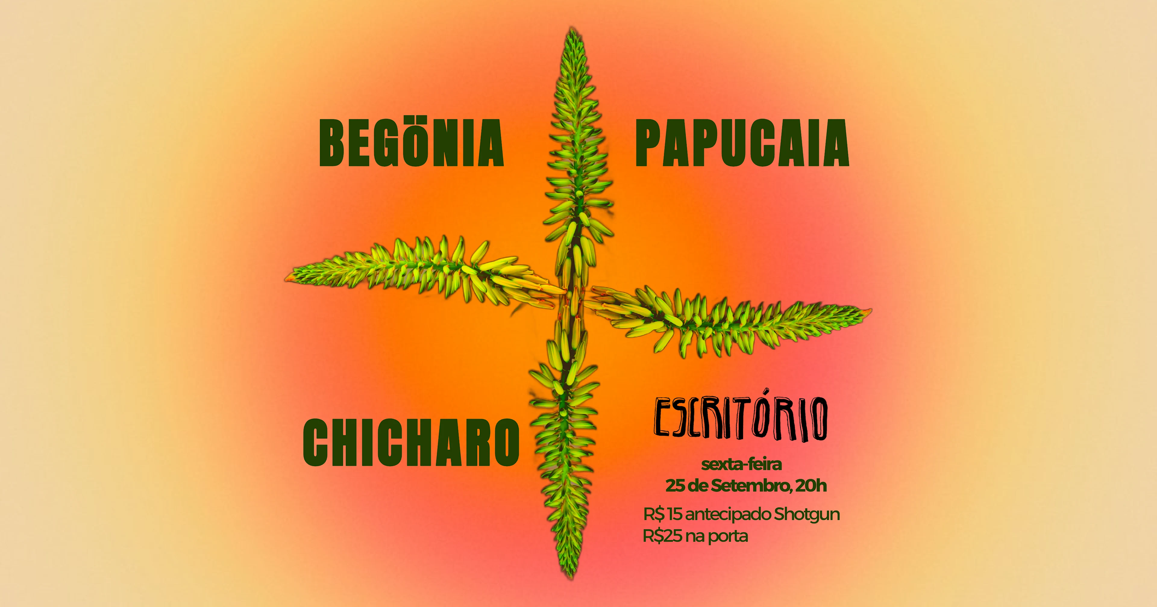 Begönia • Papucaia • Chicharo No Escritório