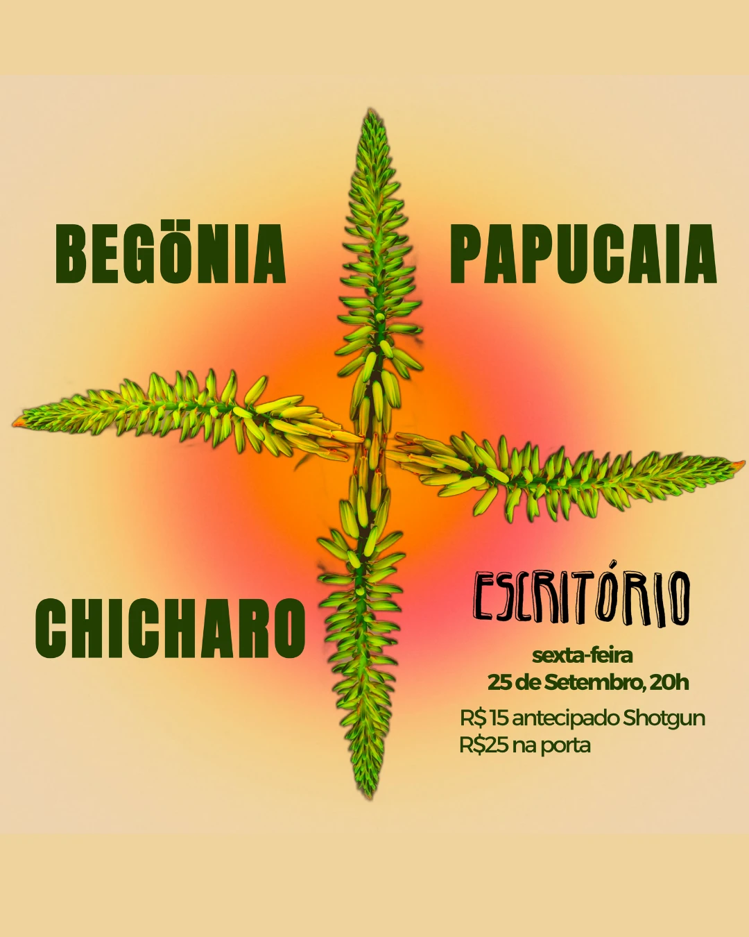 Begönia • Papucaia • Chicharo No Escritório