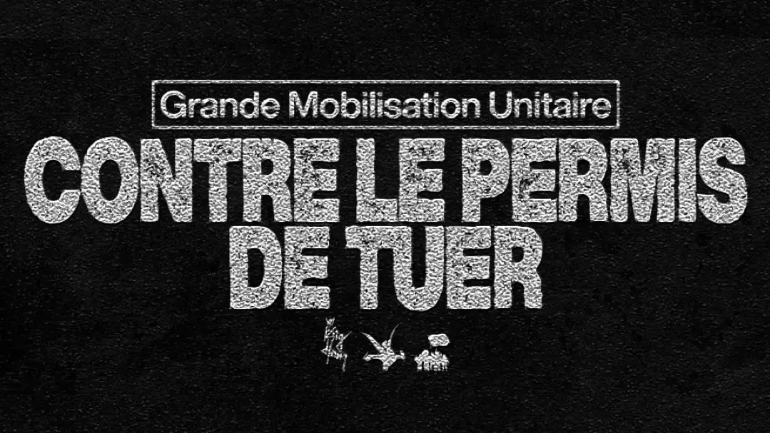 Kingdom Call : Contre Le Permis De Tuer