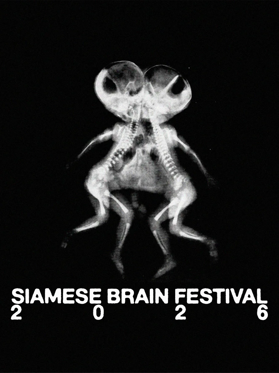 Siamese Brain Festival