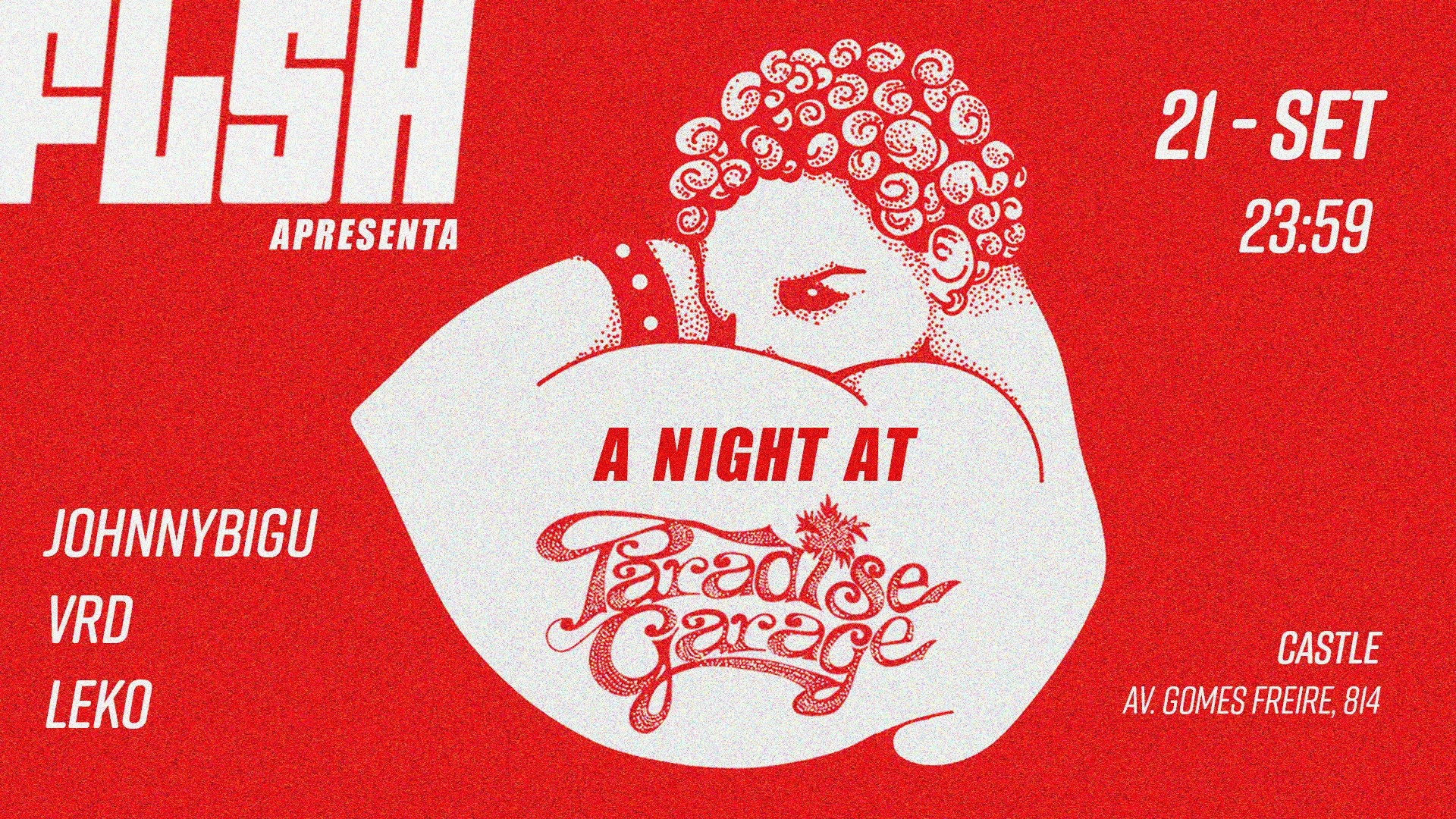 Flsh: A Night At Paradise Garage