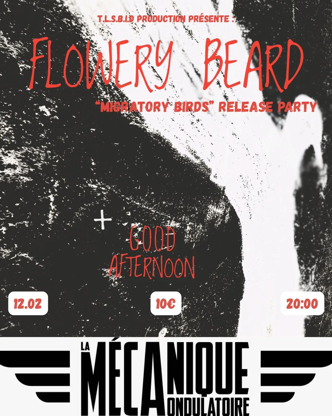 Flowery Beard "Migratory Birds" Release Party