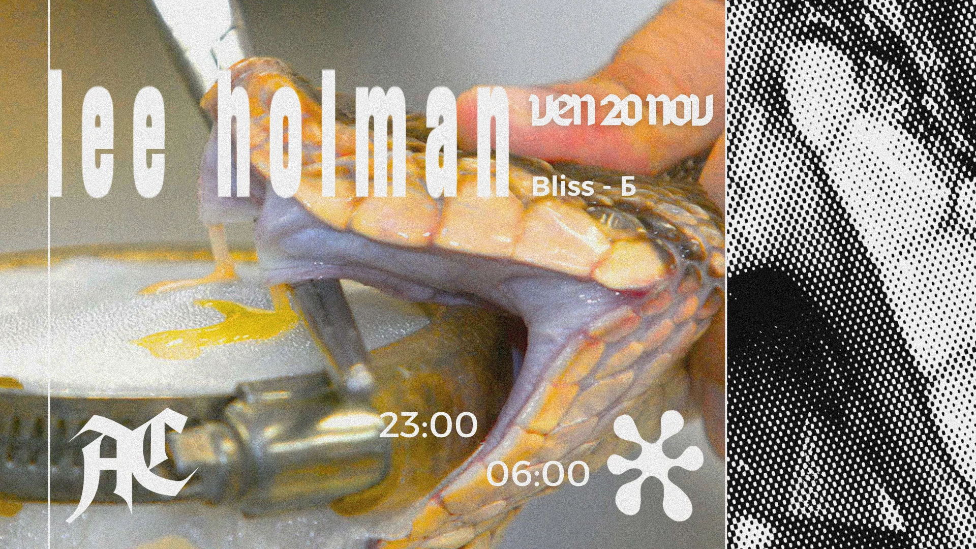 Poly • Analog Catharsis & Bliss : Lee Holman