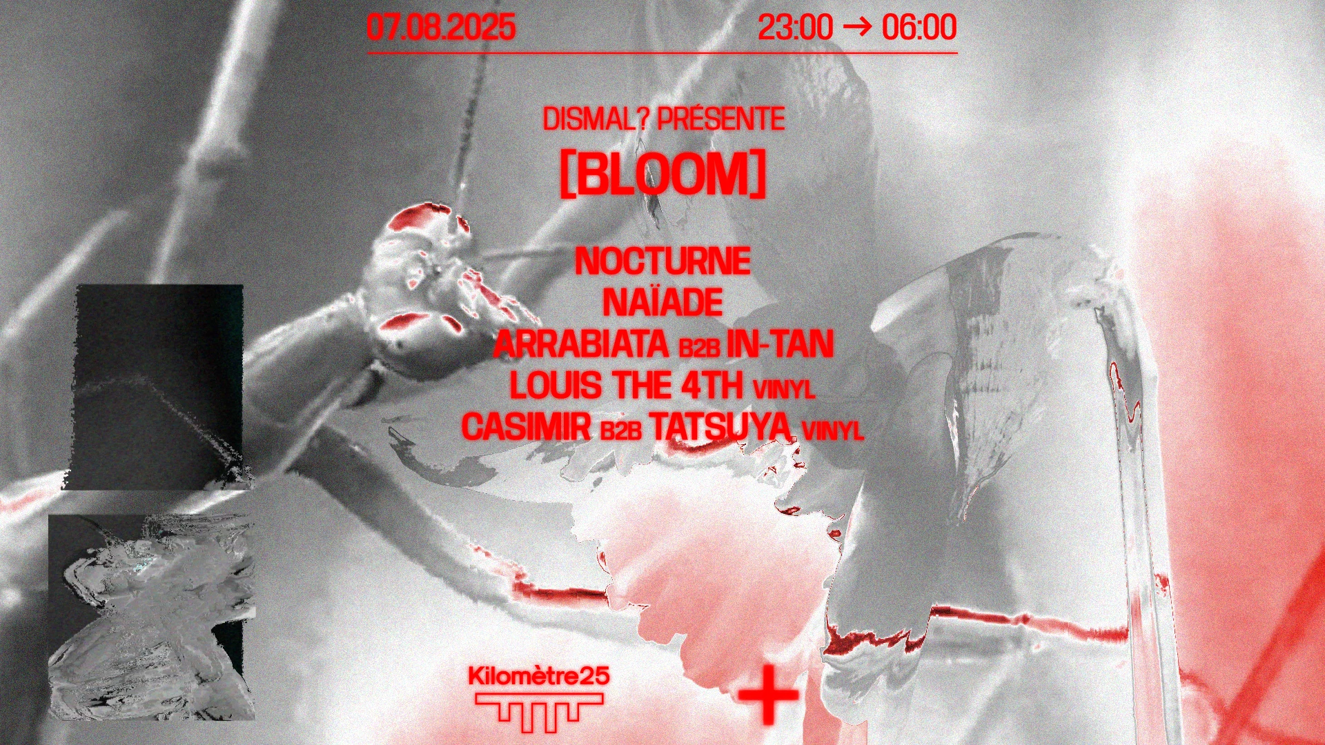 Dismal? : Louis The 4th, Arrabiata B2b In-Tan, Nocturne