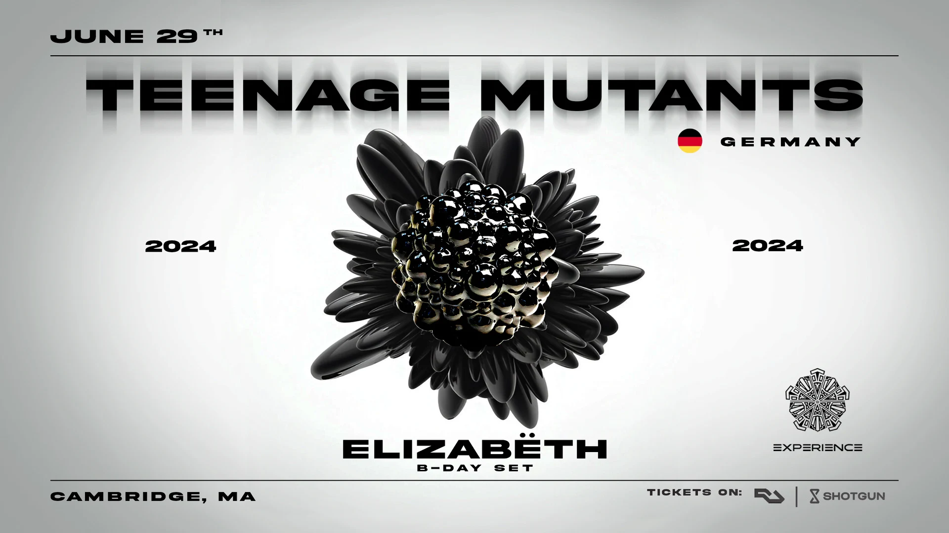 Experience + Teenage Mutants